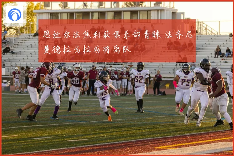 恩杜尔法焦利获俱乐部青睐 法齐尼曼德拉戈拉或将离队