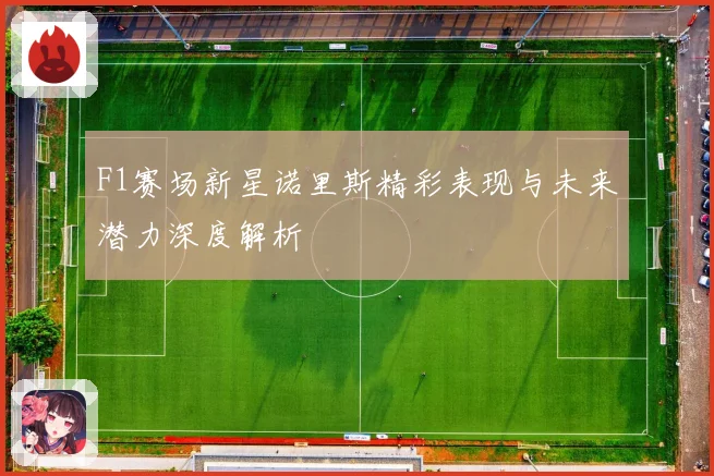 F1赛场新星诺里斯精彩表现与未来潜力深度解析